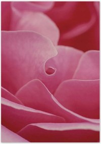 Poszterek 70x100 Nőnap Ajándék Love