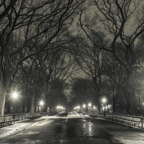 Poszter 40x40cm Éjszakai kilátás a Central Parkon át vezető útra, Assaf Frank
