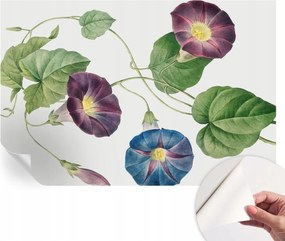 Fali fotótapéta Hálószobába Nappaliba Virágos elegancia 104x70 cm