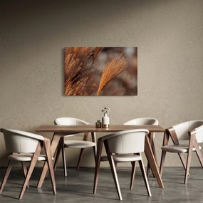 Kép - Cortaderia (90x60 cm)