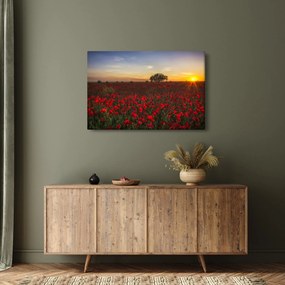 Pipacsos rét képe (90x60 cm)