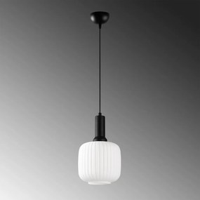 Asker 15187 fekete fém-üveg függőlámpa, Ø20 cm