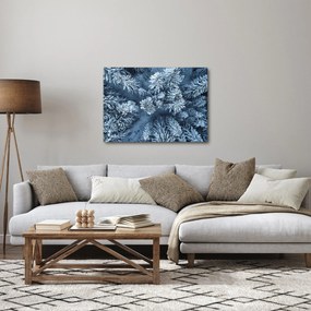 Kép - Havas erdő (70x50 cm)