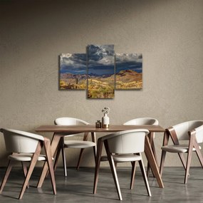 Kép - kaktuszok a természetben (90x60 cm)