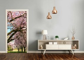 Ajtóposzter öntapadós cseresznyefa 85x205 cm