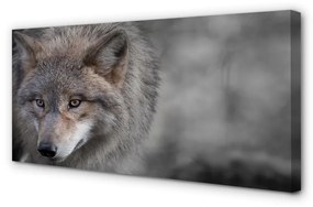 Canvas képek Farkas 125x50 cm