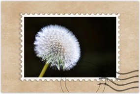 Poszterek 120x80 Pitypang Virág Virágok