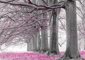 Poszter 29,7x21cm Fák egy sorban rózsaszín levelek, Assaf Frank