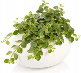 Fedő kis virágcseréphez, fehér, hossza 19 cm