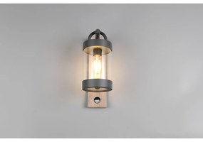 Fali kültéri lámpa (magasság 33 cm) Sambesi – Trio