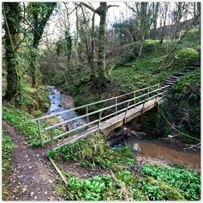 Poszterek 100x100 Híd a parkban