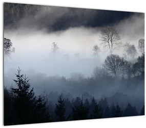 A köd képe az erdő felett (üvegen) (70x50 cm)