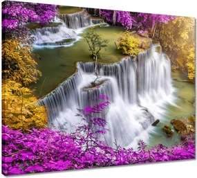 Vászonkép 50x40 Lila a zuhatag körül