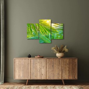 Kép - Pálmalevelek (90x60 cm)