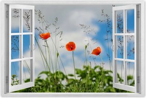 Poszterek 120x80 Piros mezei pipacs