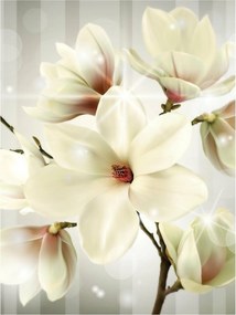 Fotótapéta virágok magnólia virág 184 x 254