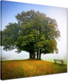 Vászonkép 40x40 Tájkép paddal Fa