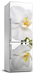 Hűtő matrica Fehér orchidea FridgeStick-70x190-f-103920801
