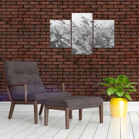 Kép - Fű a szélben (90x60 cm)