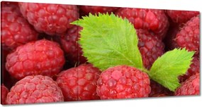 Vászonkép 120x60 Friss málna