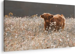Kép - Skót tehén a virágban (90x60 cm)