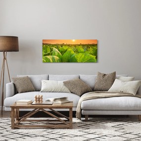 Kép - Mező (120x50 cm)