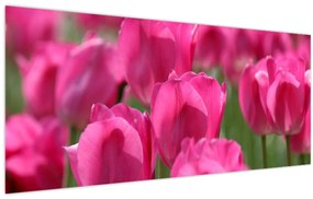 Kép - Rózsaszín tulipánok (120x50 cm)