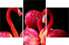 Vörös flamingók képe (90x60 cm)