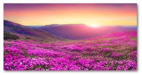 Akril üveg kép Rózsaszín domb oah-72586785