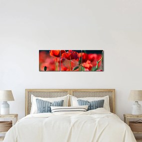 Kép - pipacsok (órával) (90x30 cm)