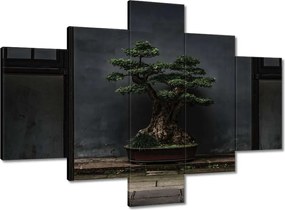 Vászonkép 100x70 Bonsai Fa Kultúra