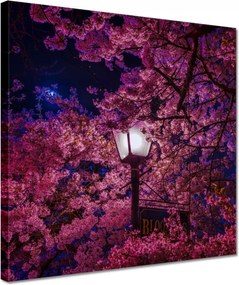 Vászonkép 30x30 Mély éjszaka Lámpa Virágok