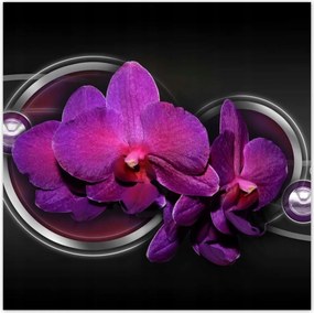Poszterek 100x100 Lila orchidea