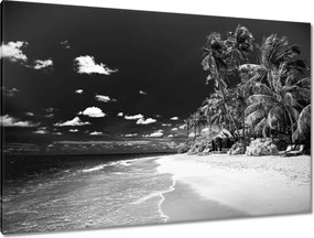 Festmények 120x80 Nyári strandok a Fülöp-szigeteken