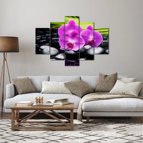 Kép - Orchideák (150x105 cm)