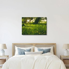 Tájkép - rét (70x50 cm)