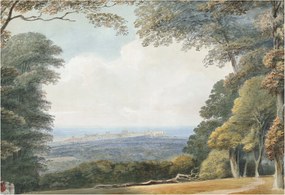 Stílusos Dekoratív fotótapéta Flizelin Erdős táj 152x104