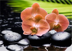 Kép - Narancssárga orchidea pálmalevelekkel (70x50 cm)