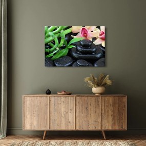 Kép - Kövek és orchideák (90x60 cm)
