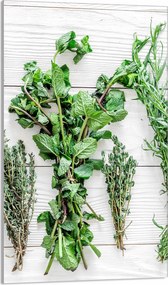 Üveg Vágódeszka 30x52 Fűszerek a Konyhába