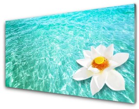 Akrilkép Víz Virág Art 120x60 cm