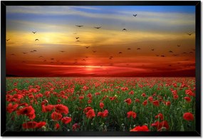 Poszterek keretben 60x40 Tájkép Látvány