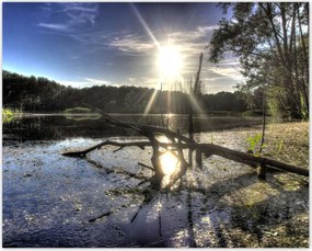 Poszterek 50x40 Naplemente a tóparton