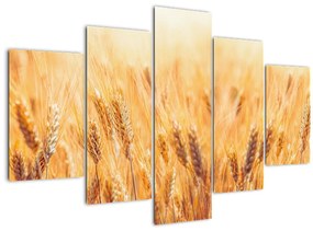 Kép - mező gabonával (150x105 cm)