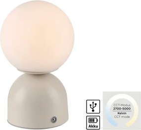 Schöner Wohnen 19218-39 - LED fényerőszabályzós asztali lámpa RUDI LED/1,2W/5V szürke