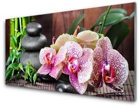 Akrilkép Bamboo Orchid Spa 100x50 cm
