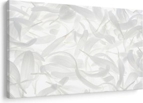 Kép - Szirmok (90x60 cm)