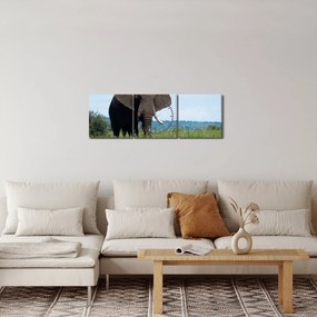 Egy elefánt képe (órával) (90x30 cm)