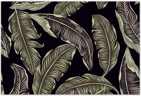 Poszterek 200x135 Trópusi levelek Levelek