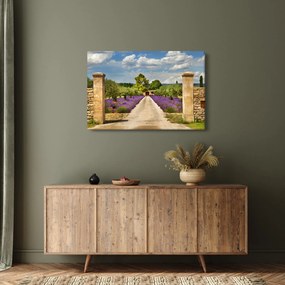 Kép - Levendula ösvények (90x60 cm)